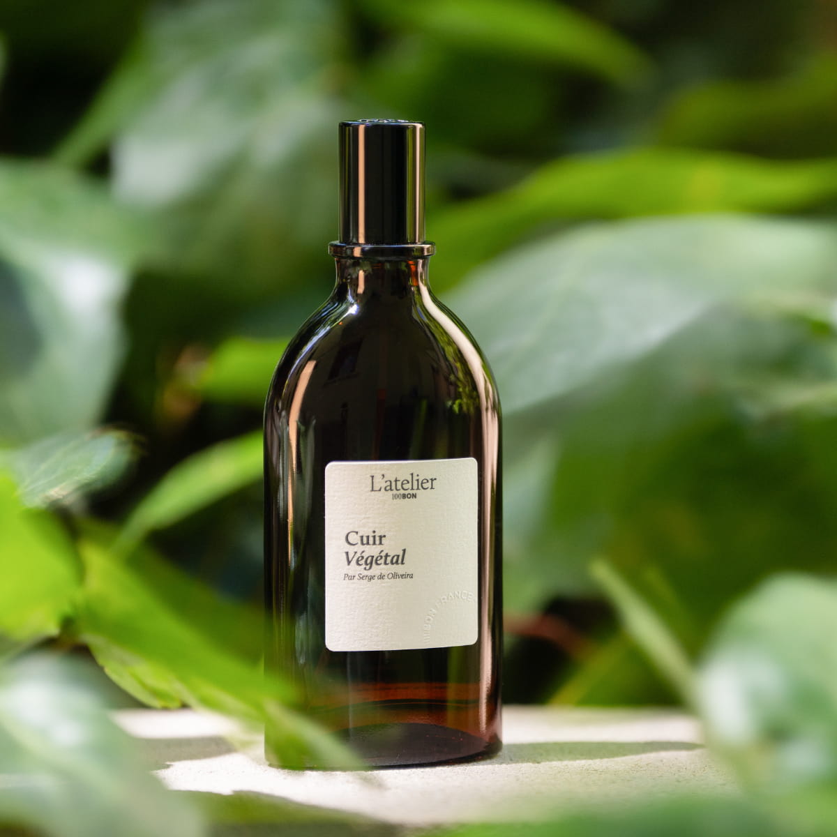 Parfum naturel Cuir Végétal en flacon au milieu de plantes vertes